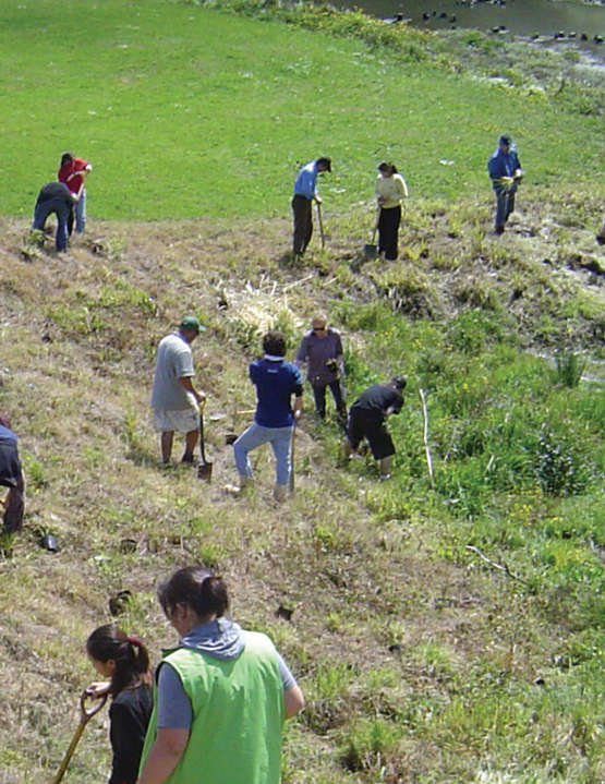 Project Manukau Coastal and Foreshore Restoration Boffa Miskell