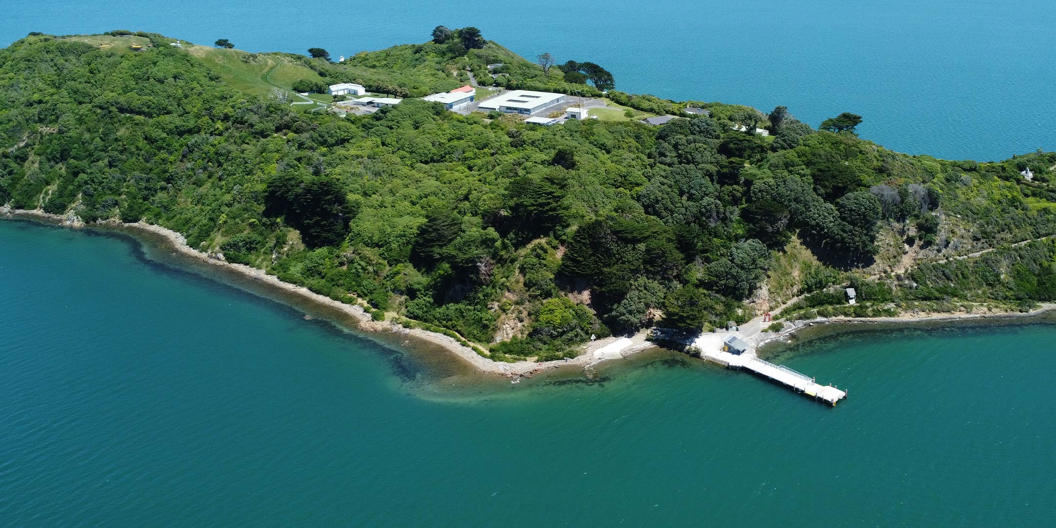 Mātiu | Somes Island Wharf Replacement