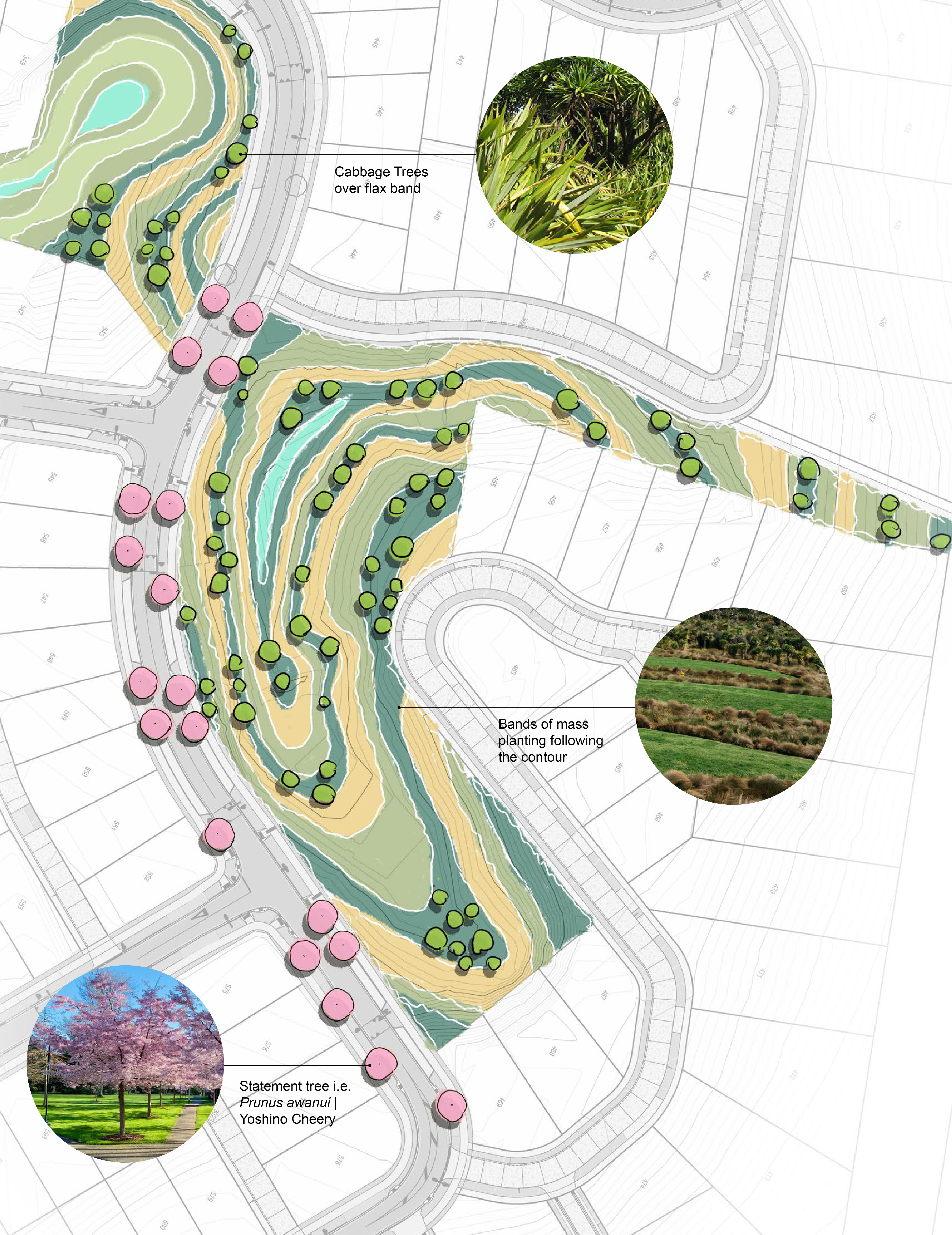 Warkworth Ridge Development | Boffa Miskell