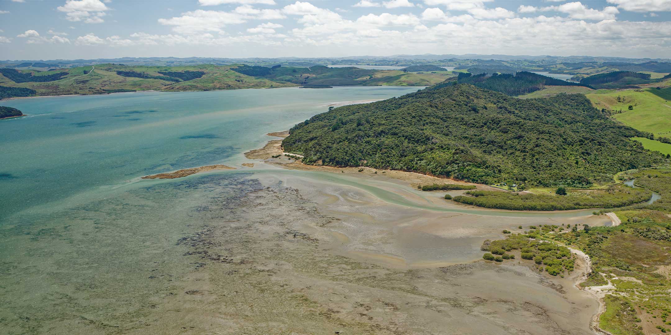 Poipoia te Kākano Predator Elimination Feasibility Analysis