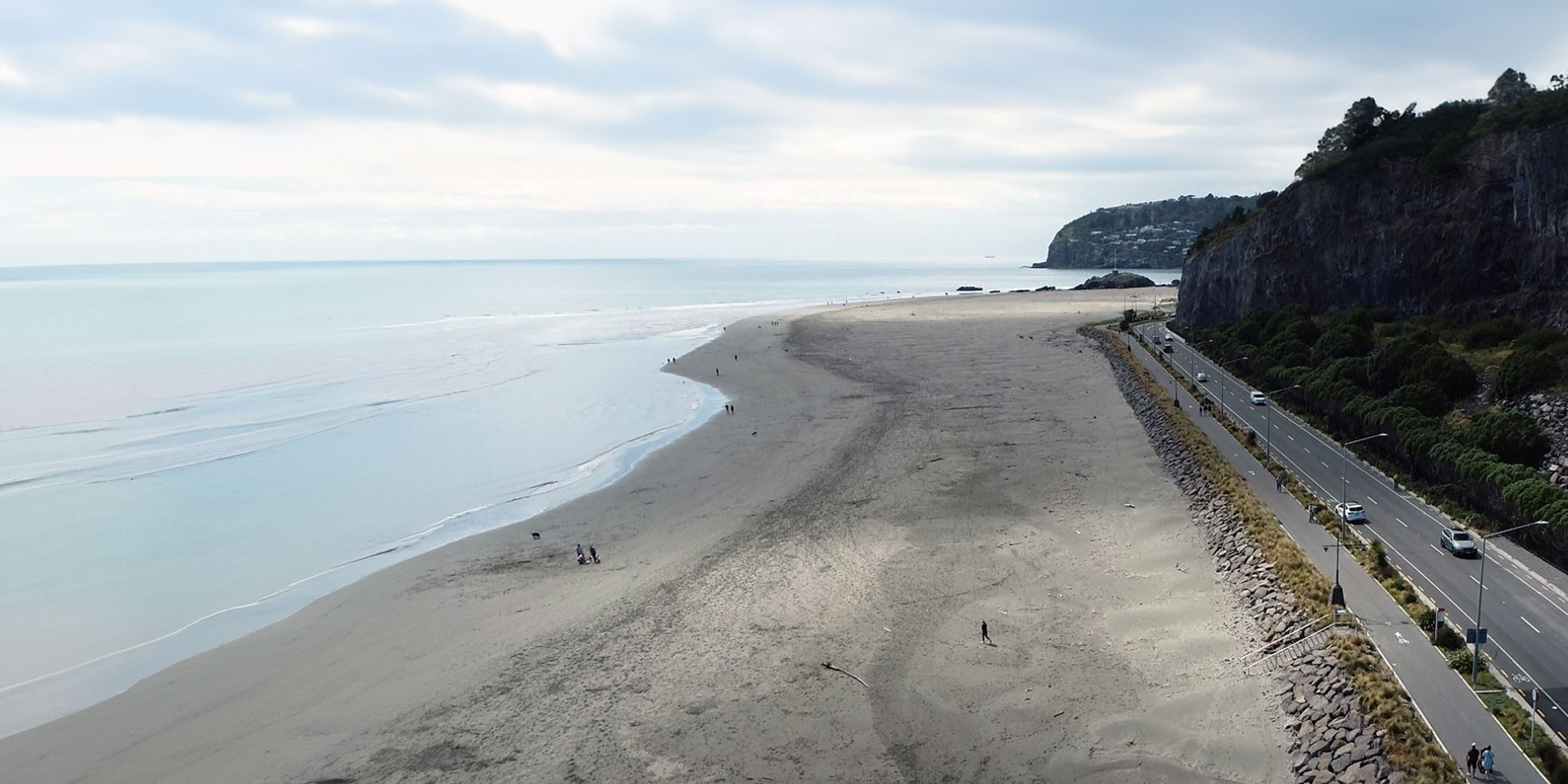 Christchurch Coastal Pathway | Te Ara Ihutai: Ecology Assessment