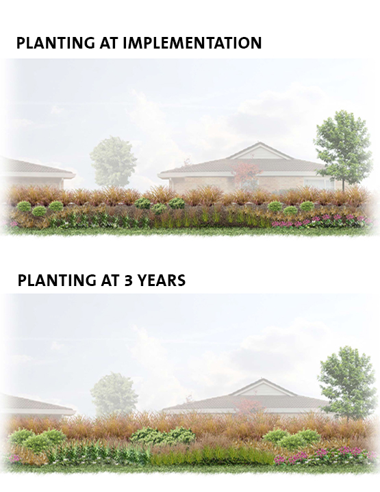 Chatsford Retierment Village Planting Strategy | Boffa Miskell