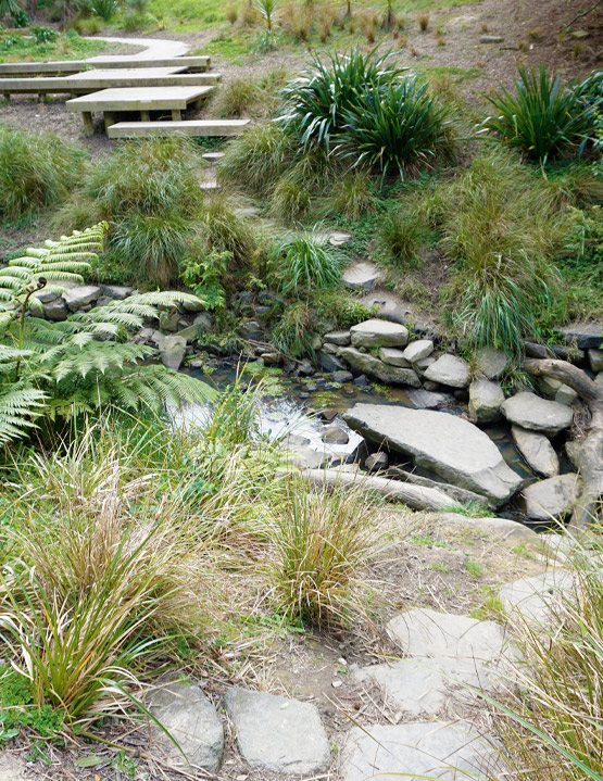 La Rosa Stream Daylighting | Boffa Miskell