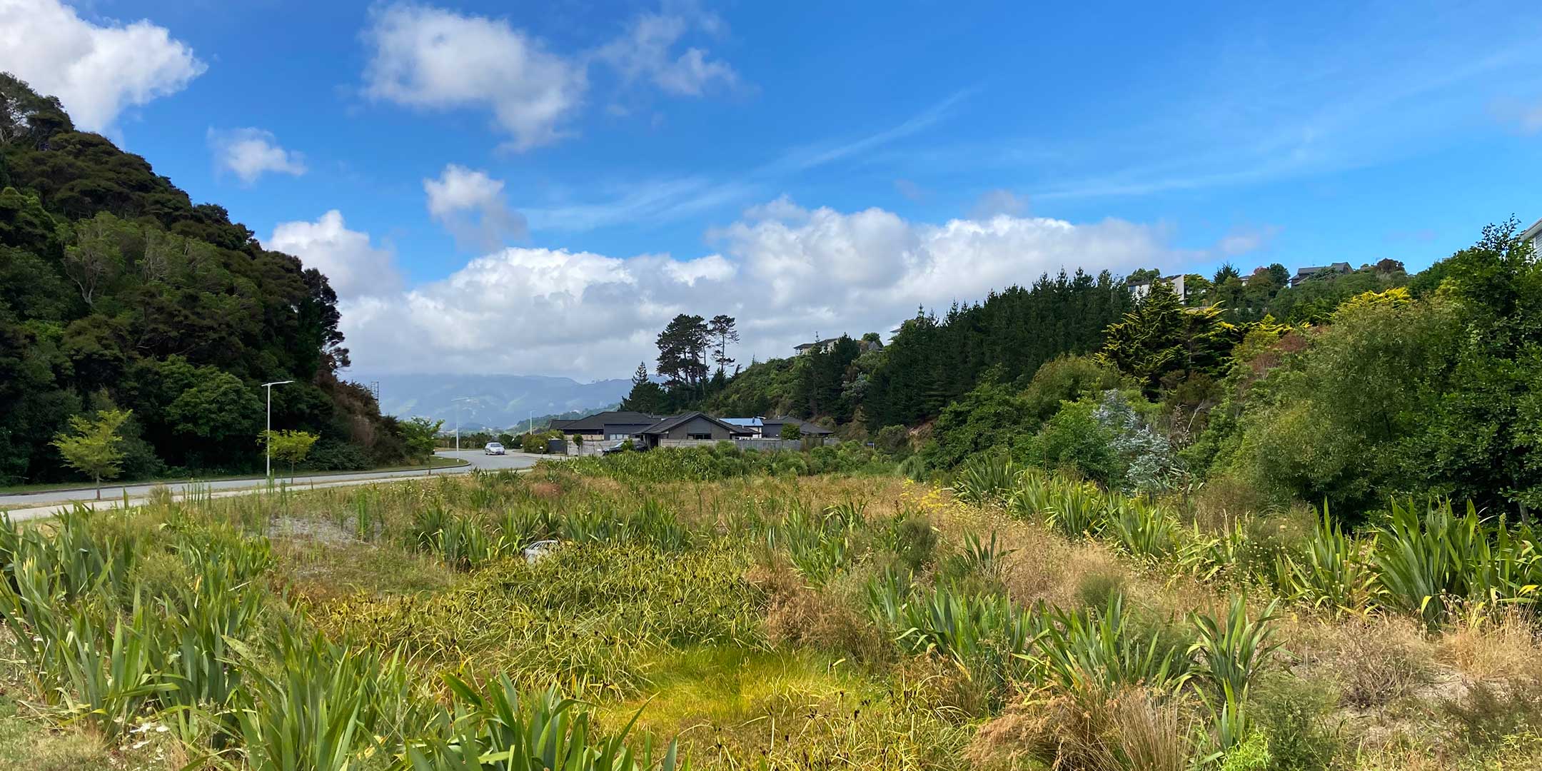 Duck Creek Re-creation