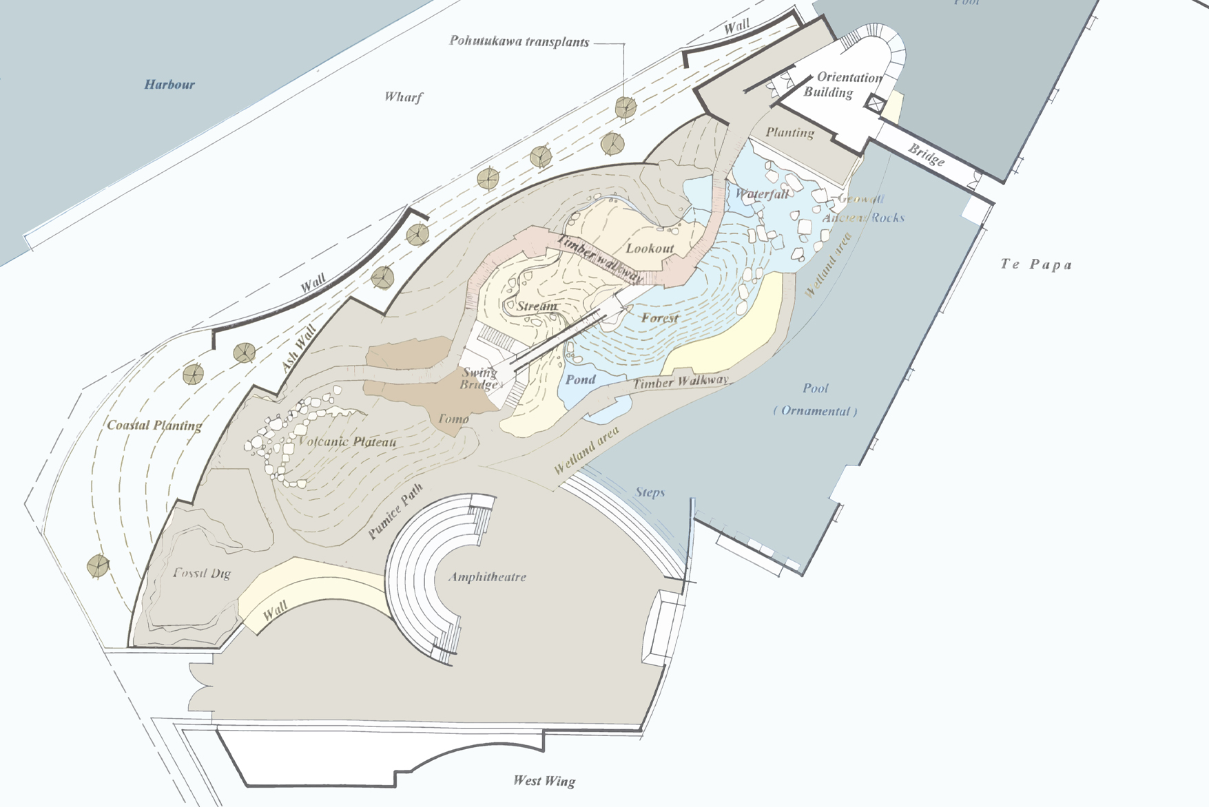 Bush City | Te Papa | Boffa Miskell