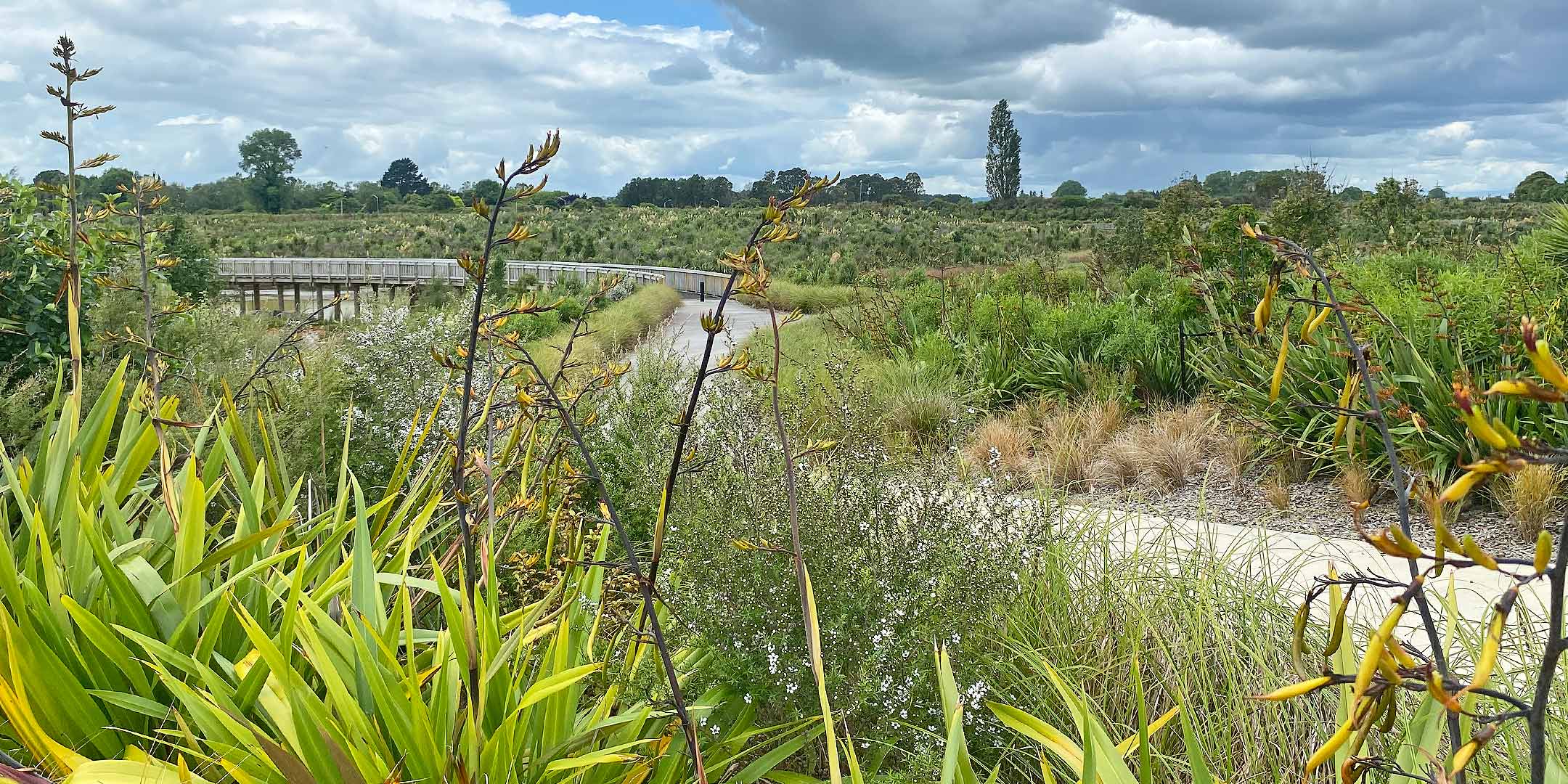 Te Wairepo Wetland