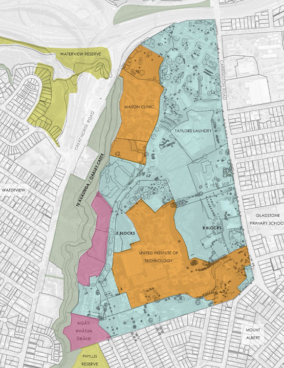 Carrington Development Boffa Miskell