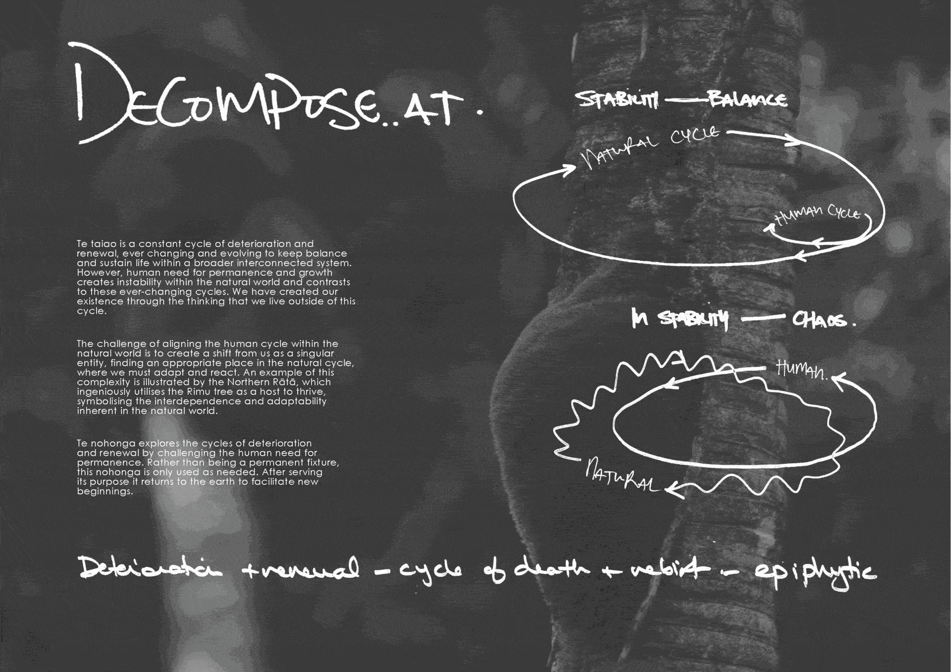 Decompose Team Four Boffa Miskell teams enter designs for Nohonga Toru | Boffa Miskell