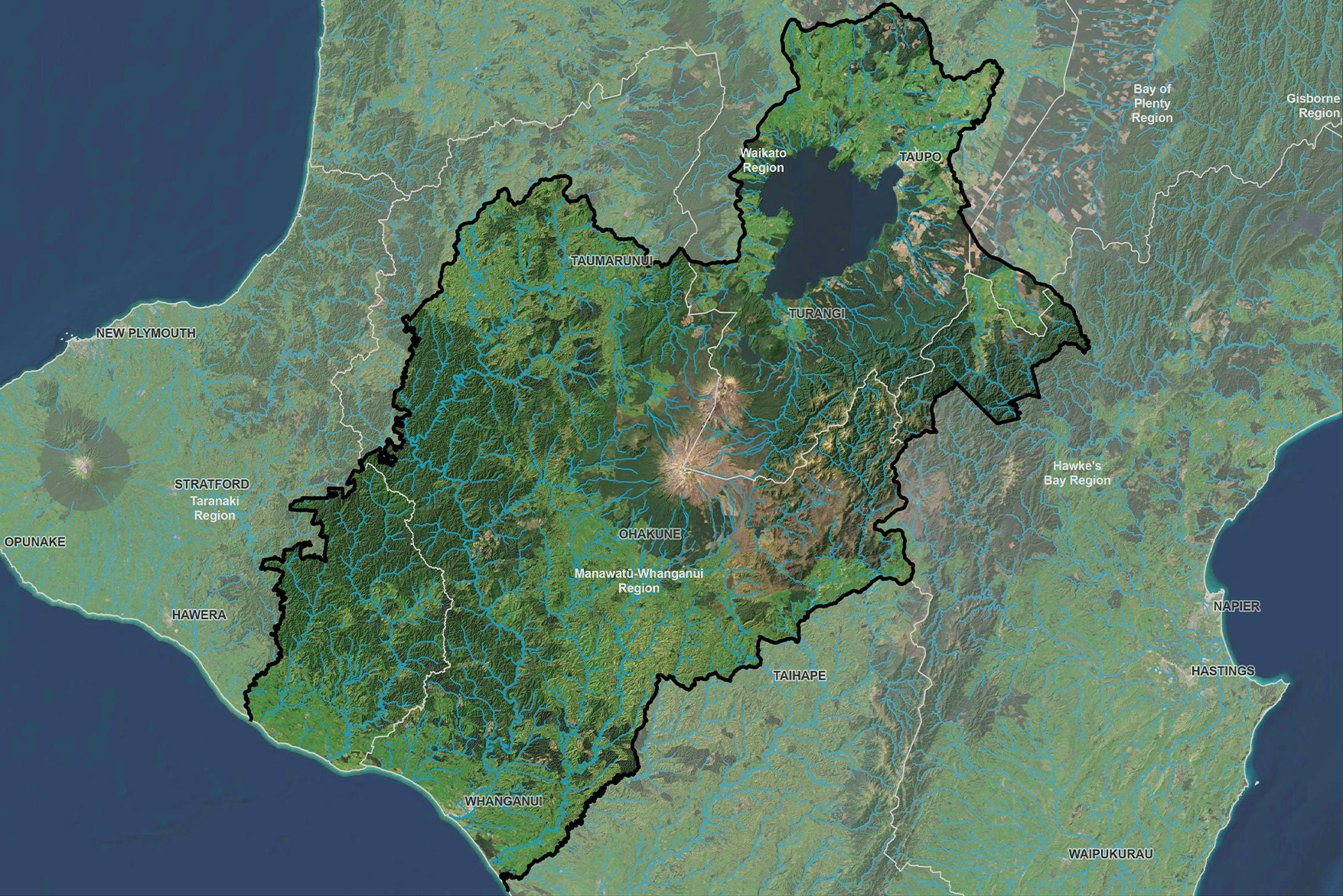 Pest Fish Distributions in the Central North Island